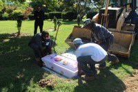 Three cemetery workers lower a pink casket with an image of Calyia Stringer printed on it into a plot in the ground.