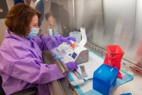 A photo of a woman in a lab coat and mask working under a fume hood.